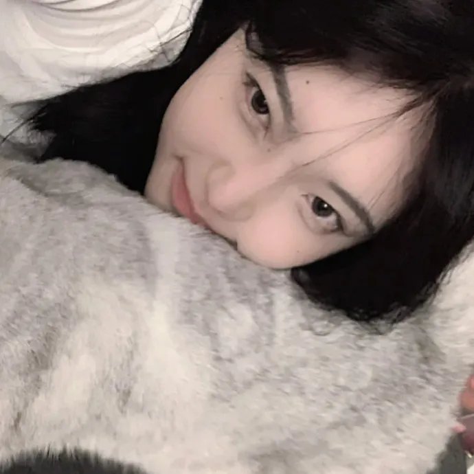 我是海鸥
